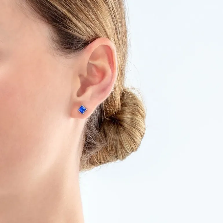 Boucles d'Oreilles Femme Puces Coeur De Lion Acier Argenté et Cristaux 0501/21-0717