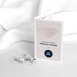 Boucles d'Oreilles Femme Puces OR 375/1000 Bicolore et Diamants